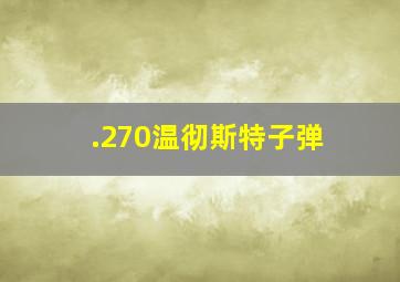 .270温彻斯特子弹