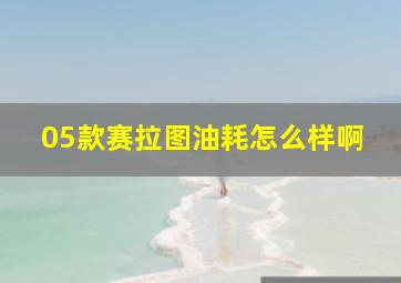 05款赛拉图油耗怎么样啊