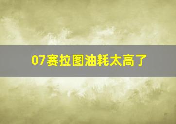 07赛拉图油耗太高了