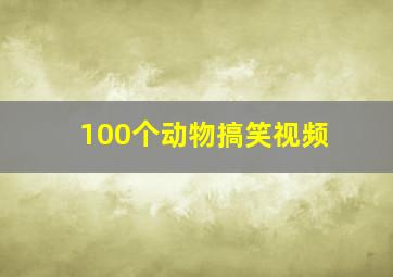 100个动物搞笑视频