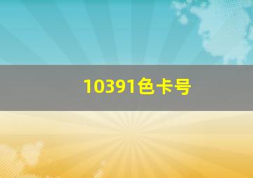 10391色卡号