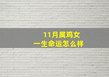 11月属鸡女一生命运怎么样