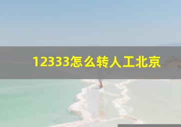 12333怎么转人工北京