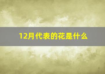 12月代表的花是什么