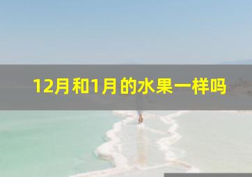 12月和1月的水果一样吗