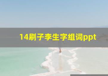 14刷子李生字组词ppt