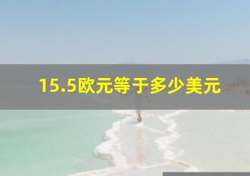 15.5欧元等于多少美元