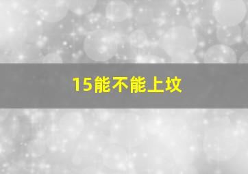 15能不能上坟