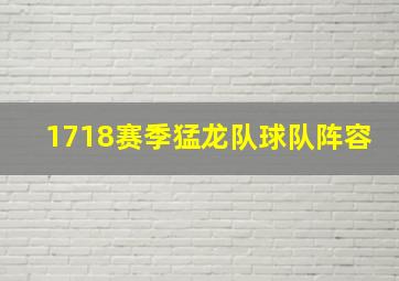 1718赛季猛龙队球队阵容