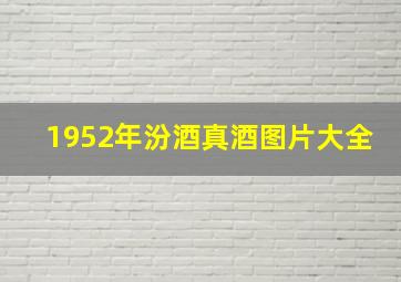 1952年汾酒真酒图片大全