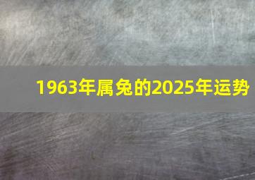 1963年属兔的2025年运势