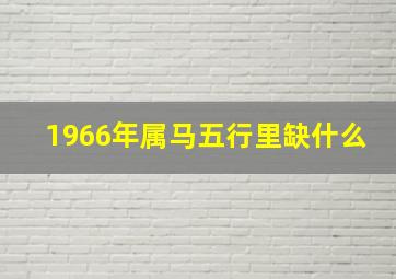 1966年属马五行里缺什么