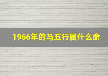 1966年的马五行属什么命