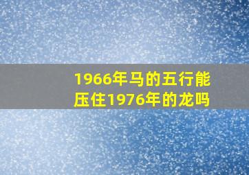 1966年马的五行能压住1976年的龙吗