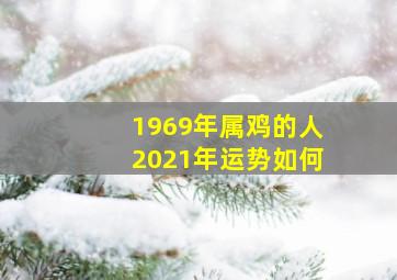 1969年属鸡的人2021年运势如何