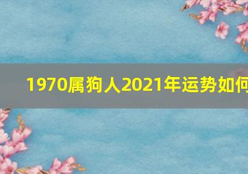 1970属狗人2021年运势如何