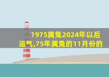 1975属兔2024年以后运气,75年属兔的11月份的