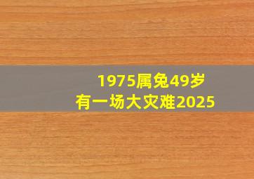 1975属兔49岁有一场大灾难2025