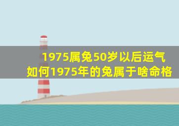 1975属兔50岁以后运气如何1975年的兔属于啥命格