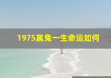 1975属兔一生命运如何