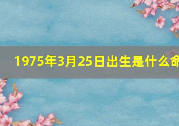 1975年3月25日出生是什么命