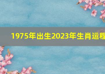 1975年出生2023年生肖运程