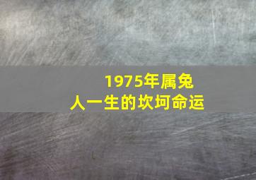 1975年属兔人一生的坎坷命运