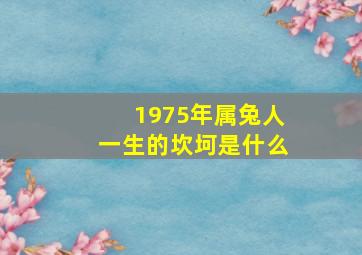 1975年属兔人一生的坎坷是什么