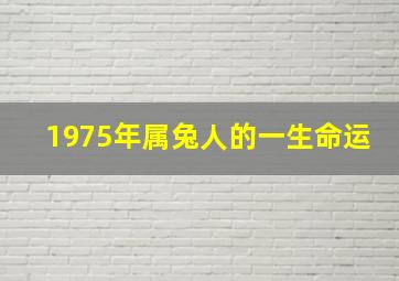 1975年属兔人的一生命运