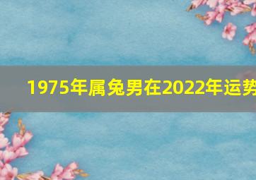 1975年属兔男在2022年运势