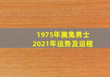 1975年属兔男士2021年运势及运程