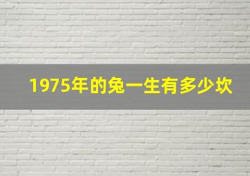 1975年的兔一生有多少坎