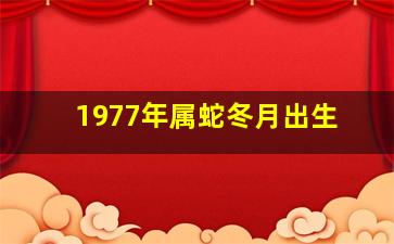 1977年属蛇冬月出生