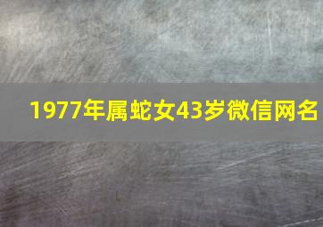 1977年属蛇女43岁微信网名