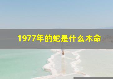 1977年的蛇是什么木命