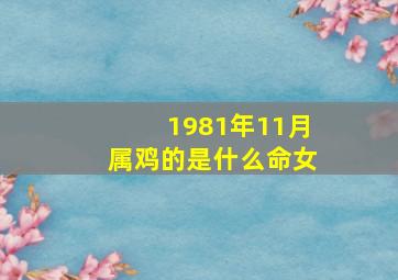 1981年11月属鸡的是什么命女