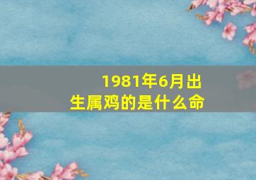 1981年6月出生属鸡的是什么命