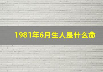 1981年6月生人是什么命