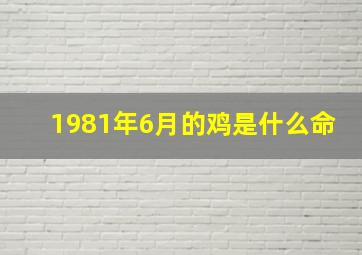 1981年6月的鸡是什么命