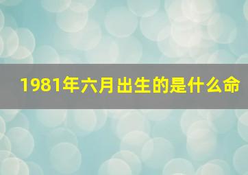 1981年六月出生的是什么命