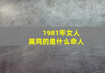 1981年女人属鸡的是什么命人