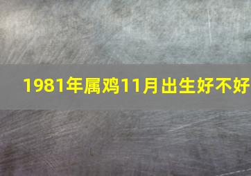 1981年属鸡11月出生好不好