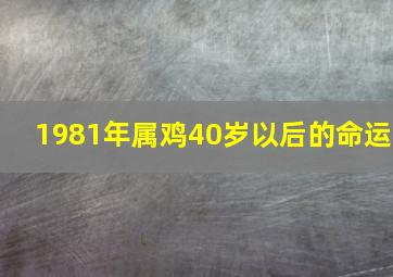 1981年属鸡40岁以后的命运