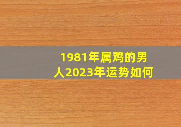 1981年属鸡的男人2023年运势如何