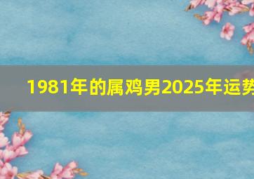 1981年的属鸡男2025年运势