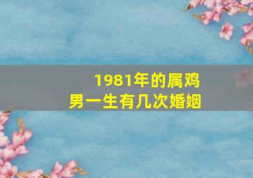 1981年的属鸡男一生有几次婚姻