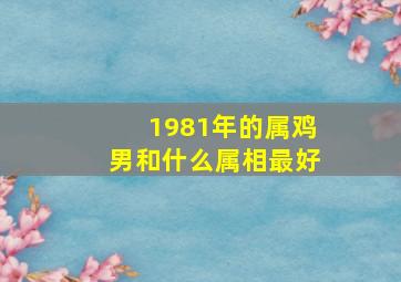 1981年的属鸡男和什么属相最好