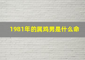 1981年的属鸡男是什么命