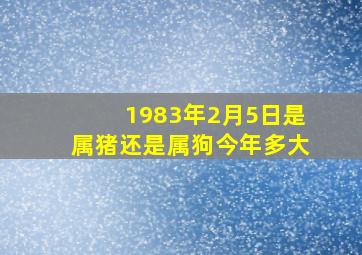 1983年2月5日是属猪还是属狗今年多大