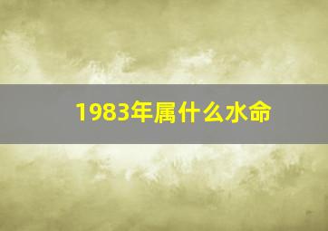 1983年属什么水命